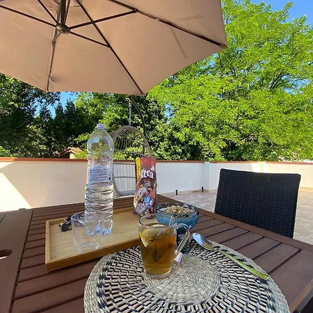 Guest house Shardana House- Free Parking *